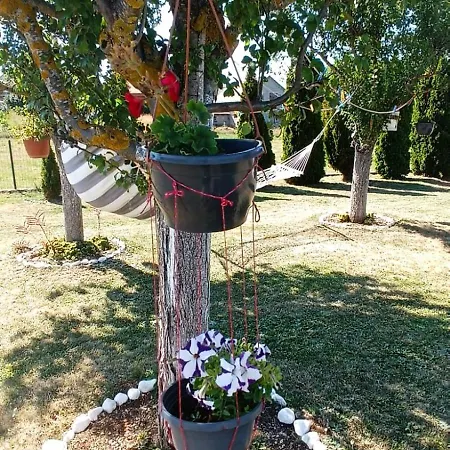 Zdenka 2 * Livno